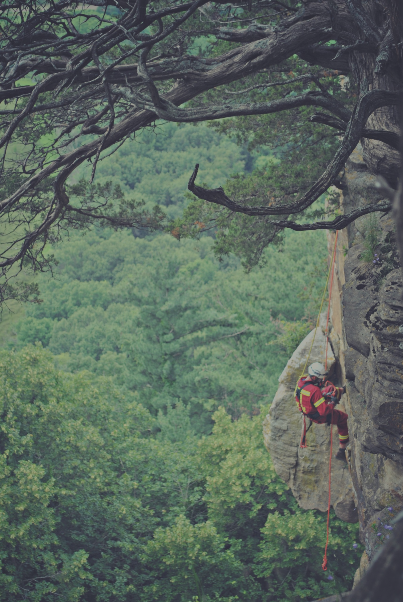 Technical Rescue by Professionals